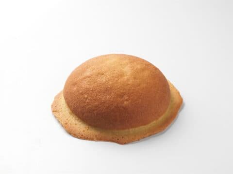 Hokkaido Dome